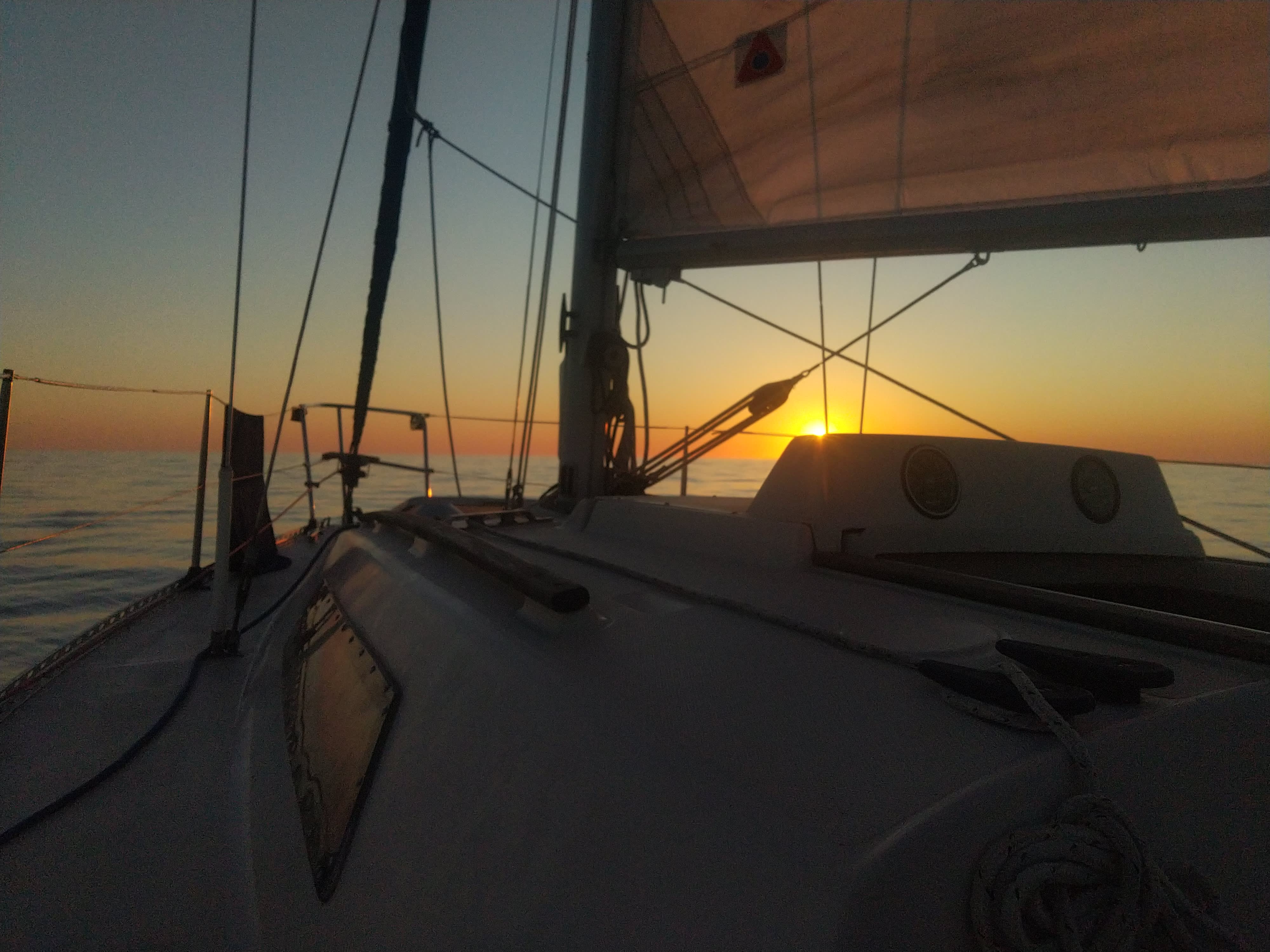 Cover of activity #13146