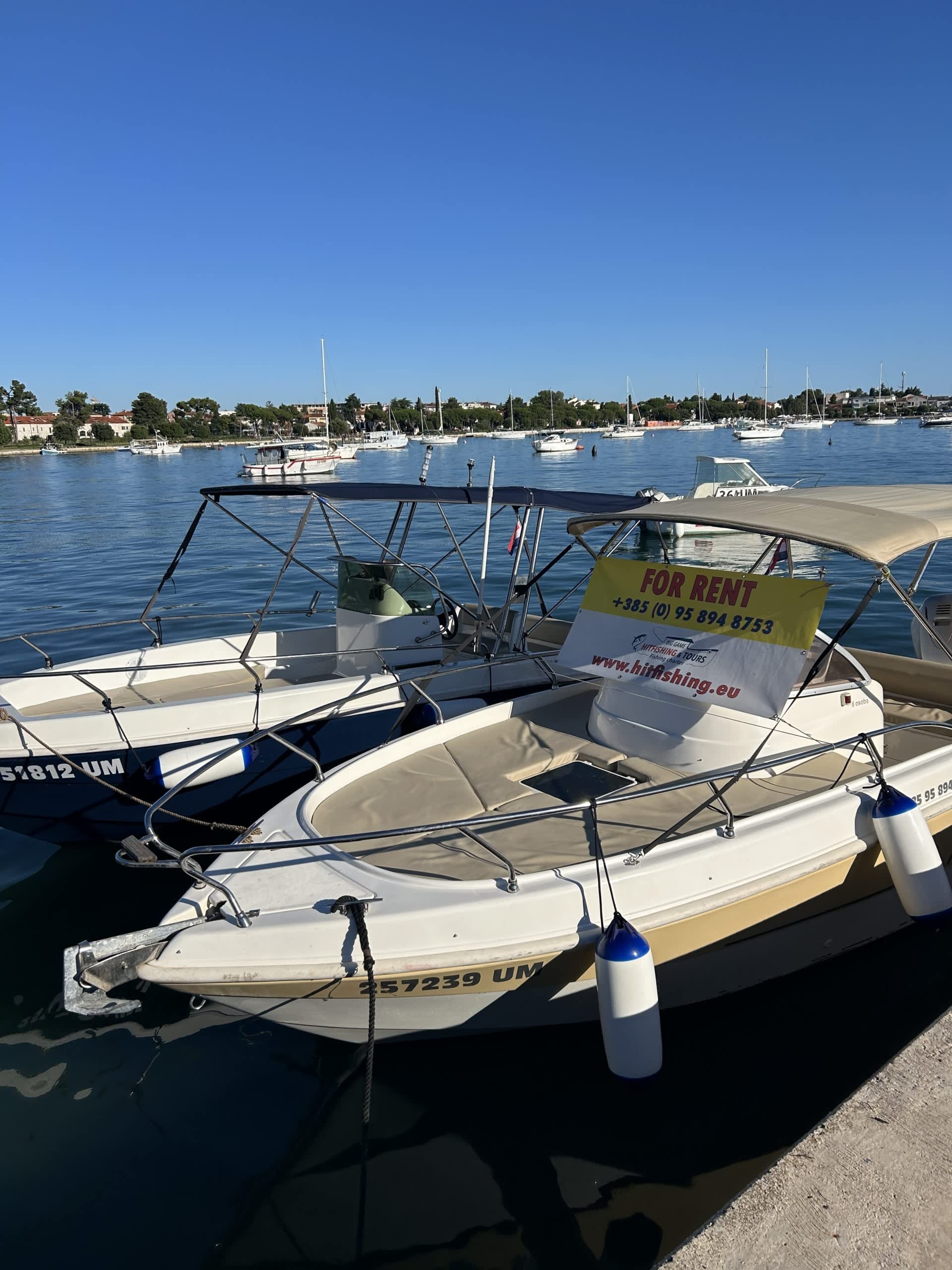 Cover of activity #29165