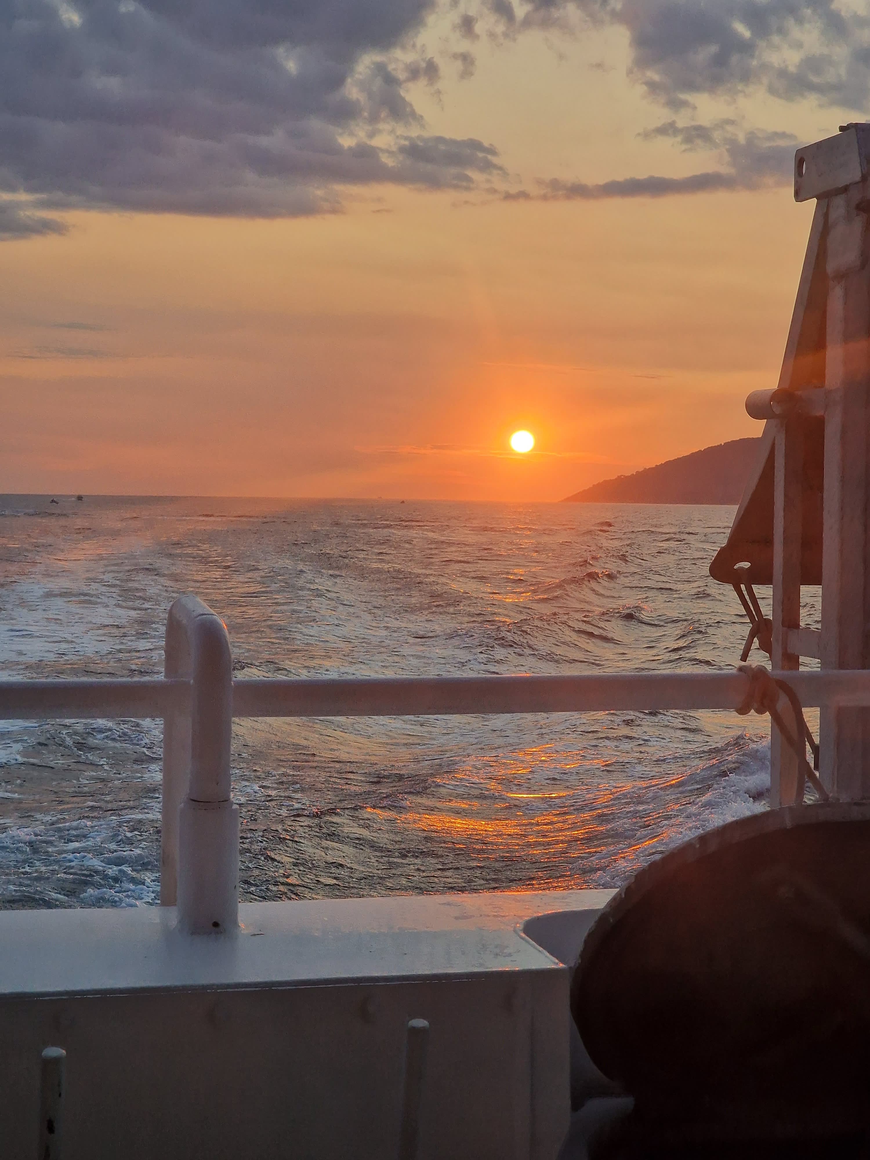 Cover of activity #8110