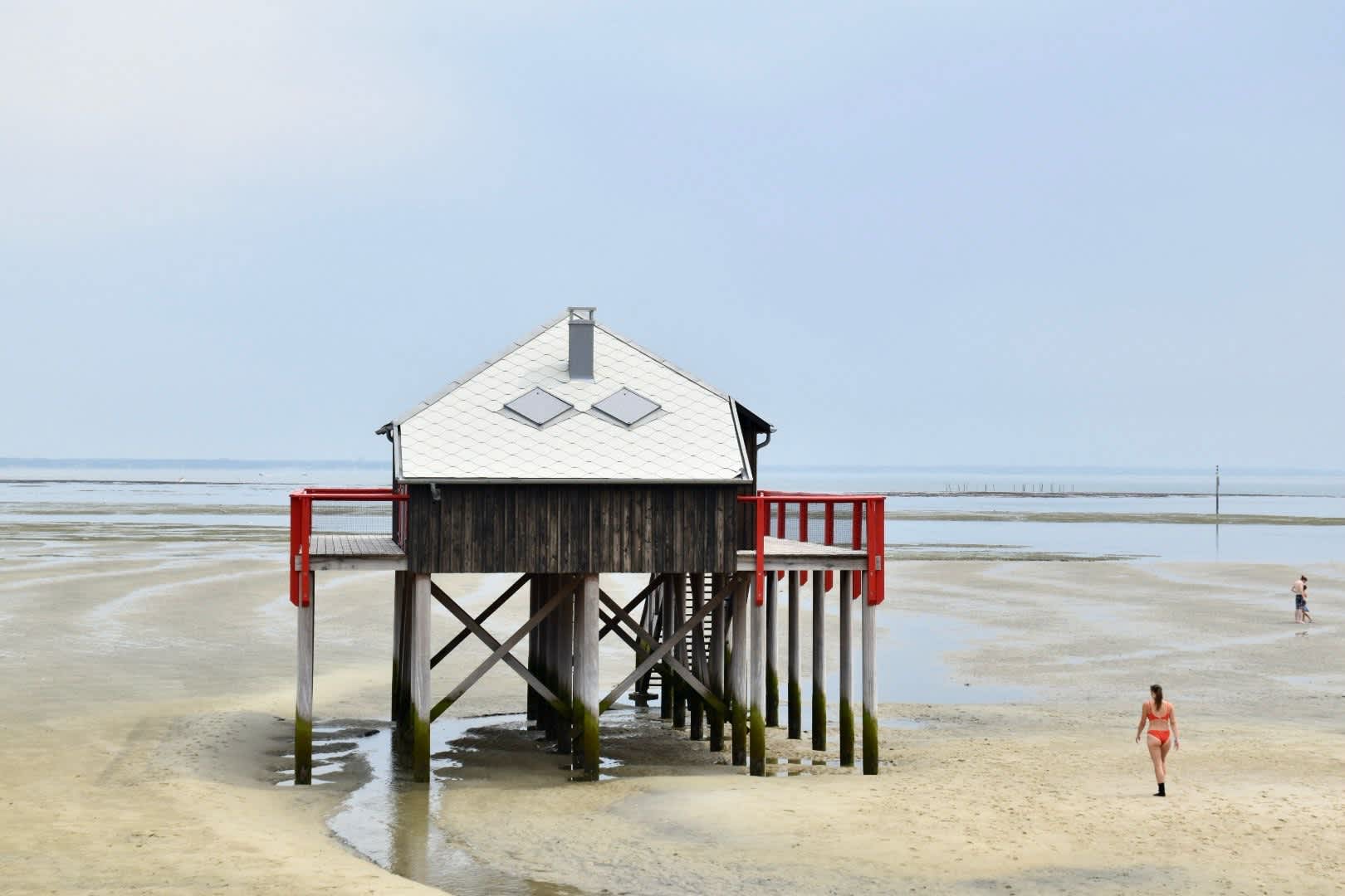 Cover of activity #13232