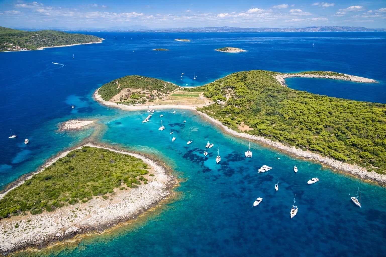 Cover of activity #17206