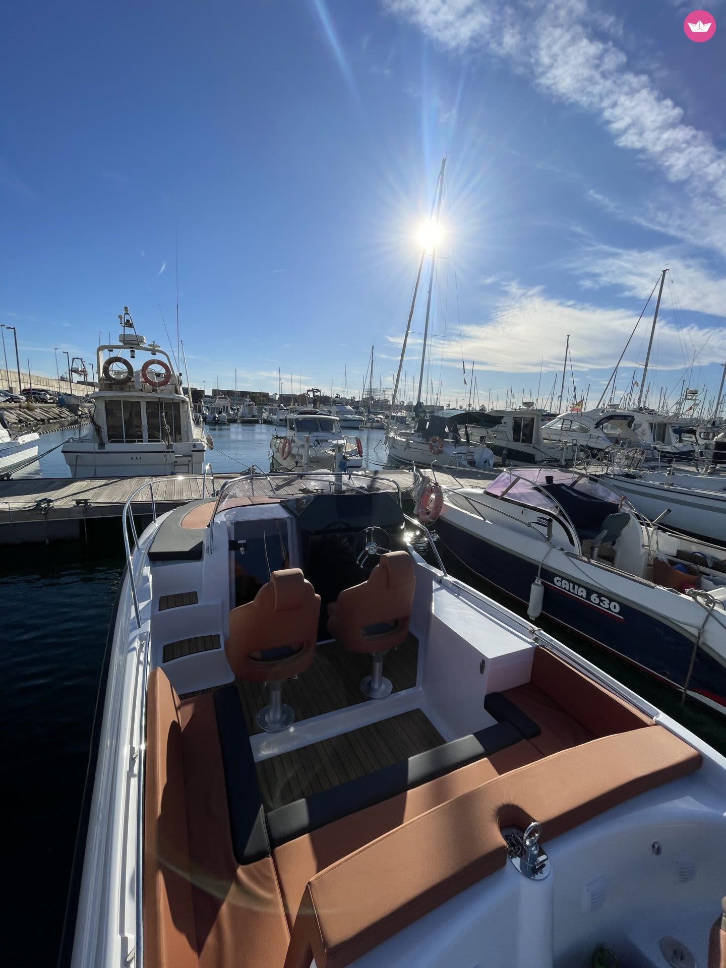 Cover of activity #19686