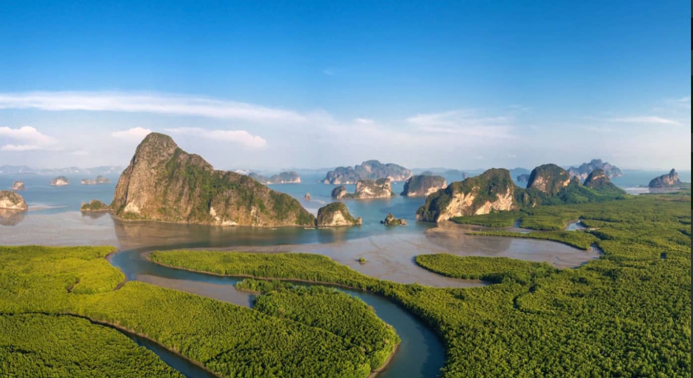 Cover of activity #5484