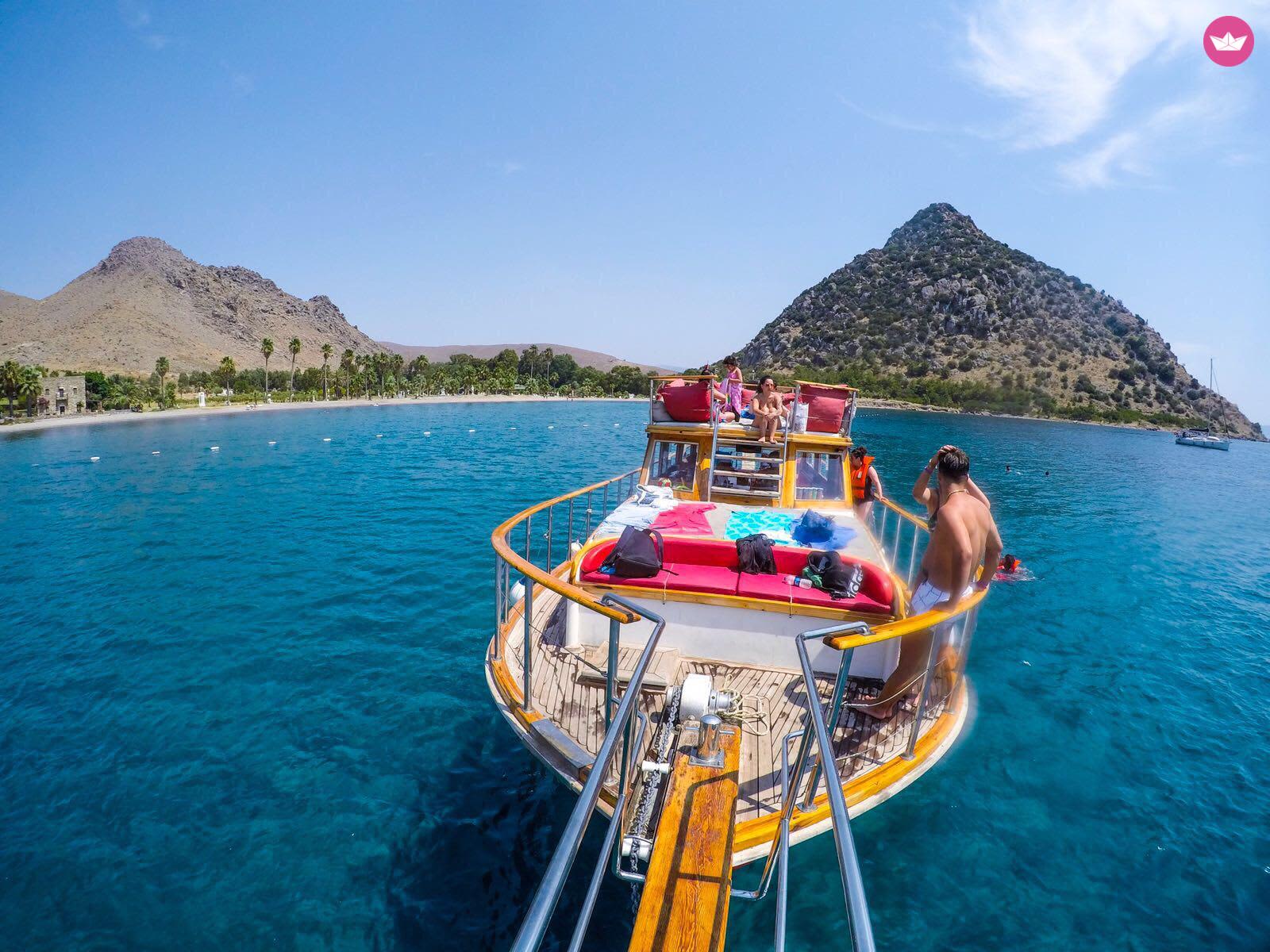 Cover of activity #2468