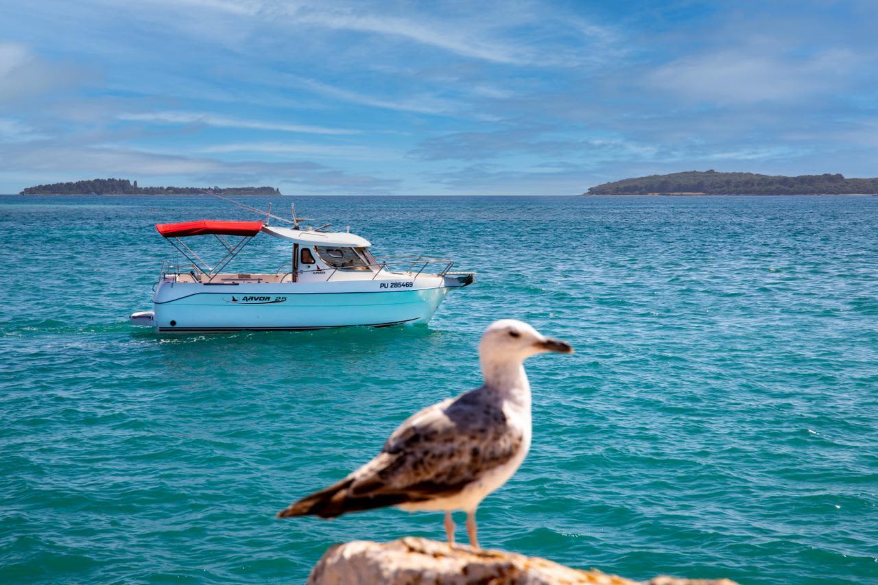 Entdecken Sie Fažana: Ein sonniger Tag auf einem Motorboot