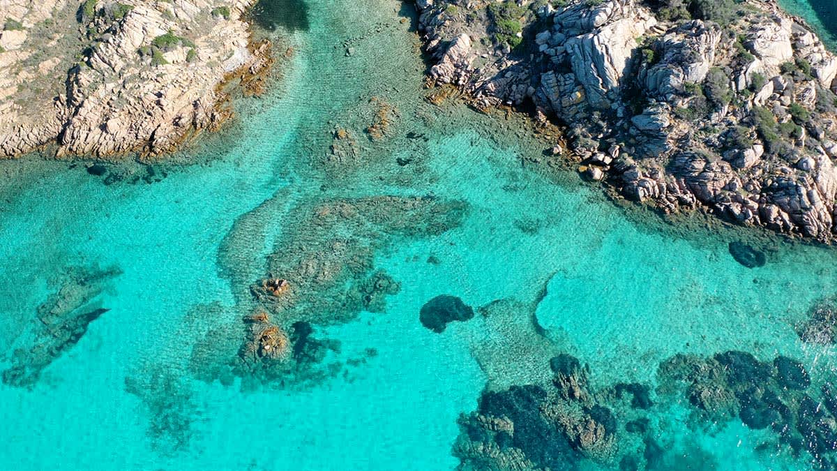 Cover of activity #3543