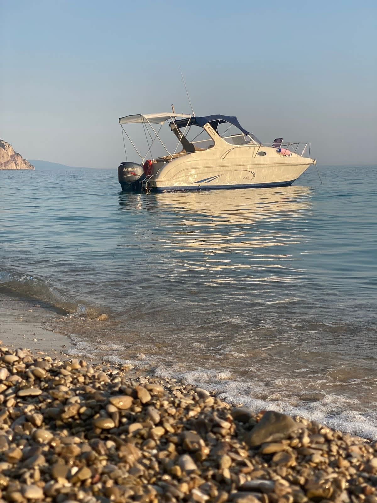 Cover of activity #29228