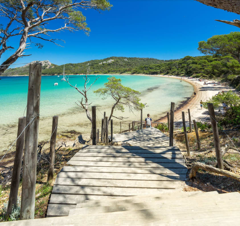 Cover of activity #12791