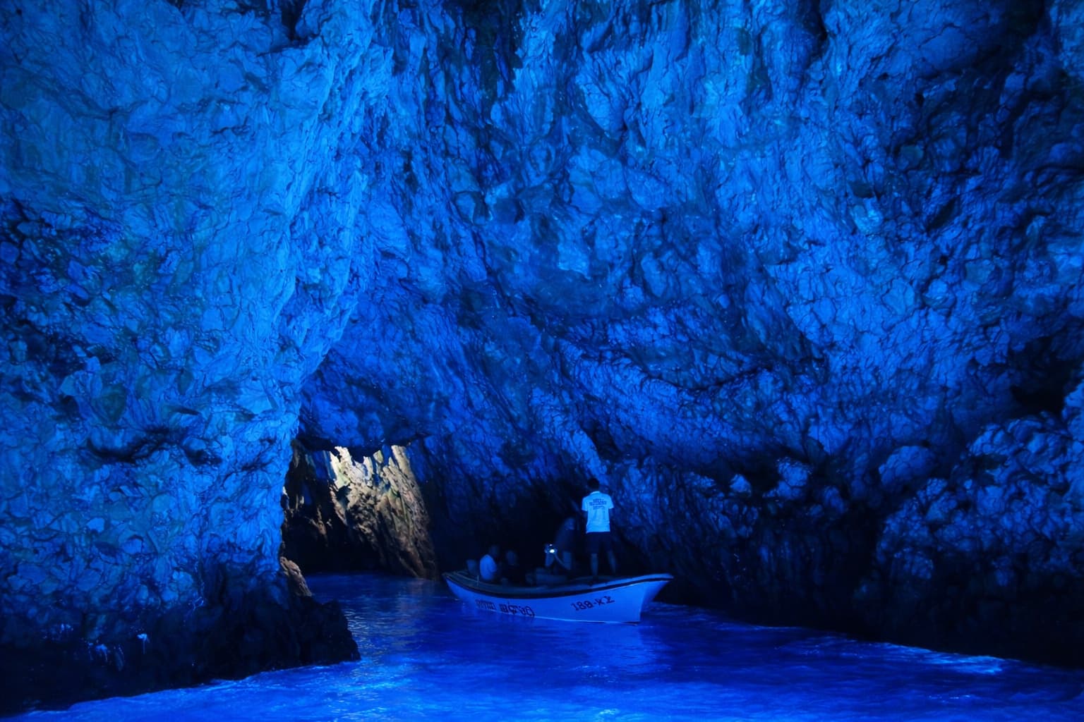 Cover of activity #17198