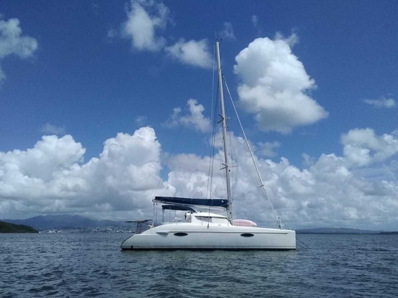 Cover of activity #29472