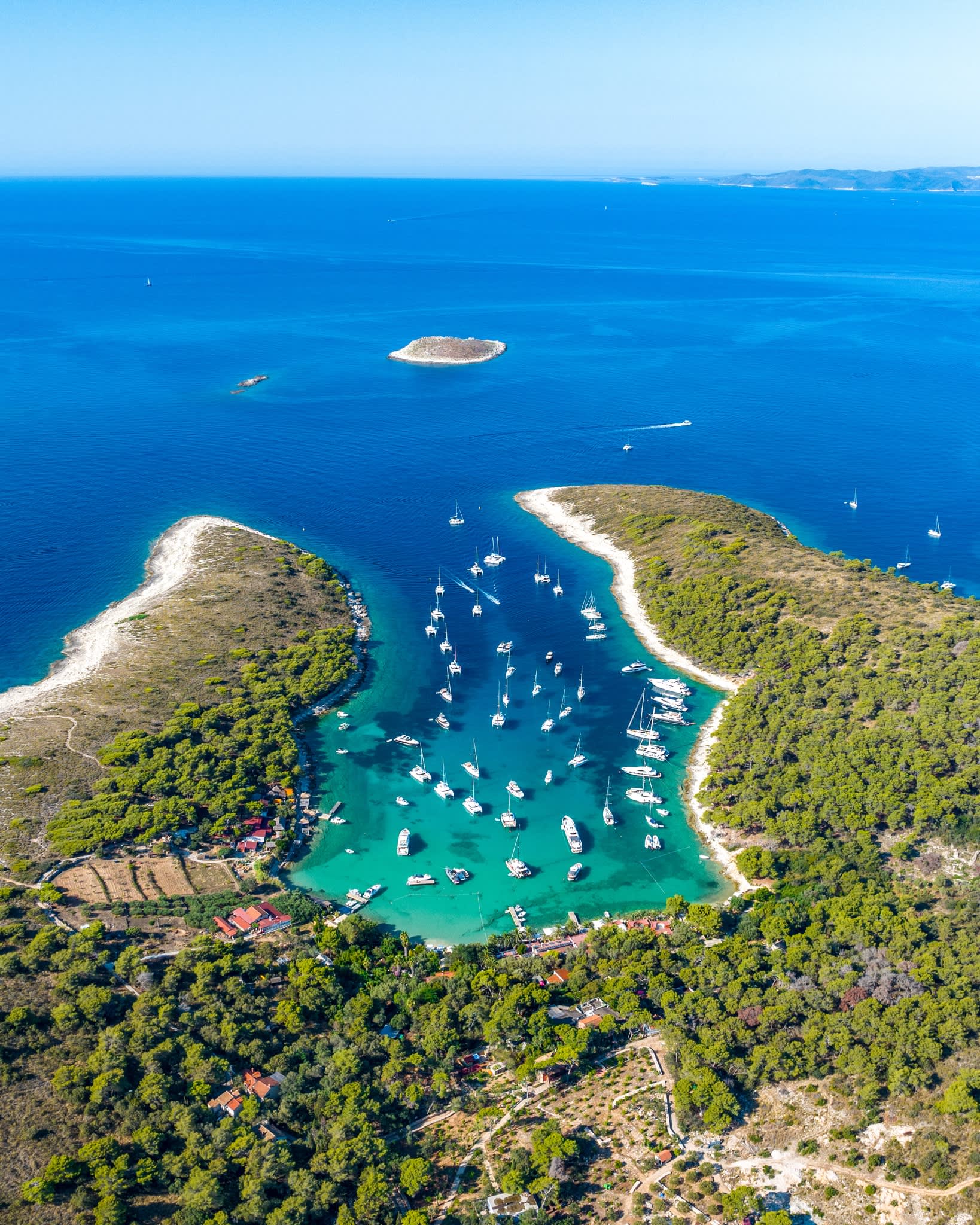 Cover of activity #7983