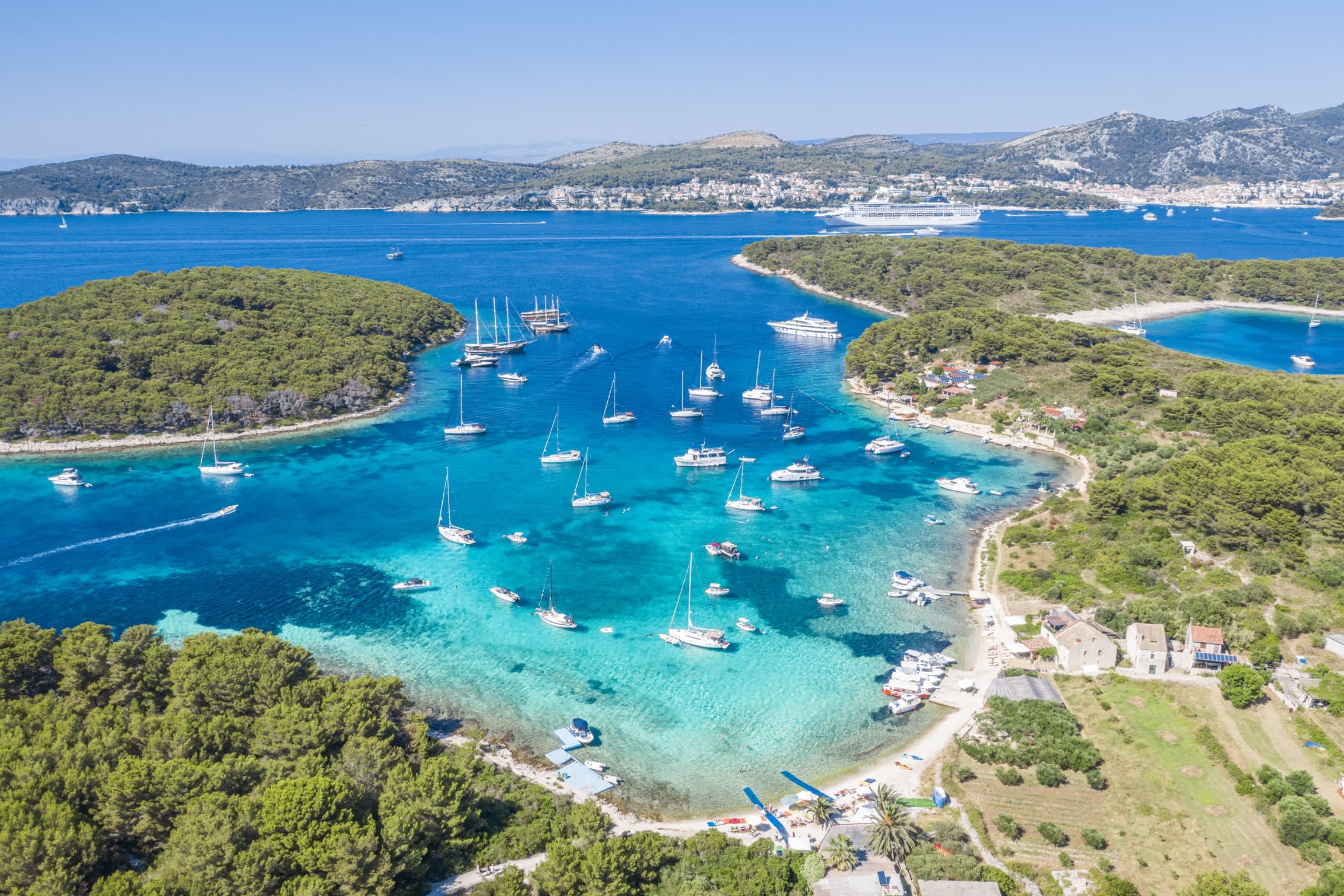 Cover of activity #7922