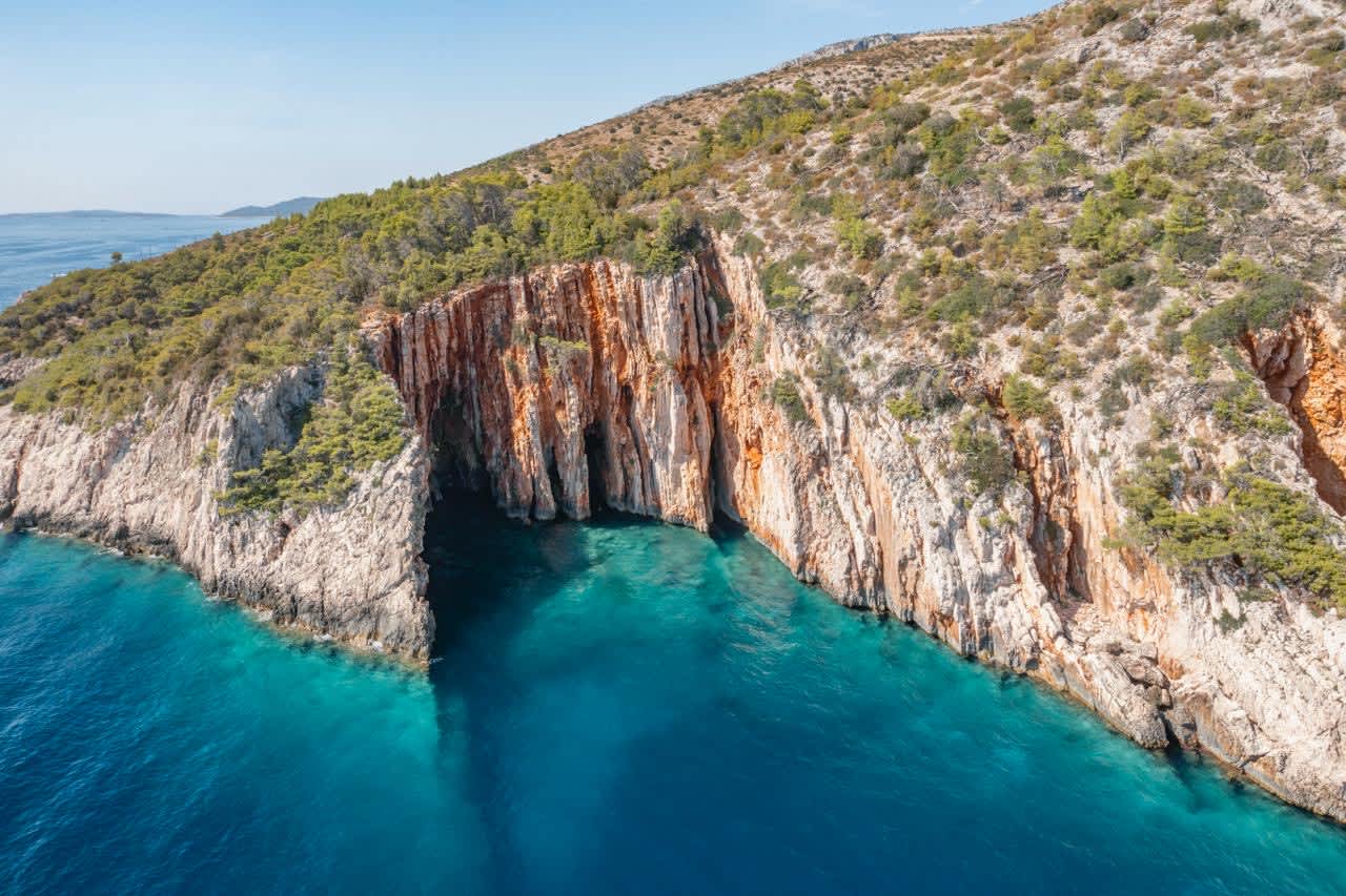 Cover of activity #7983