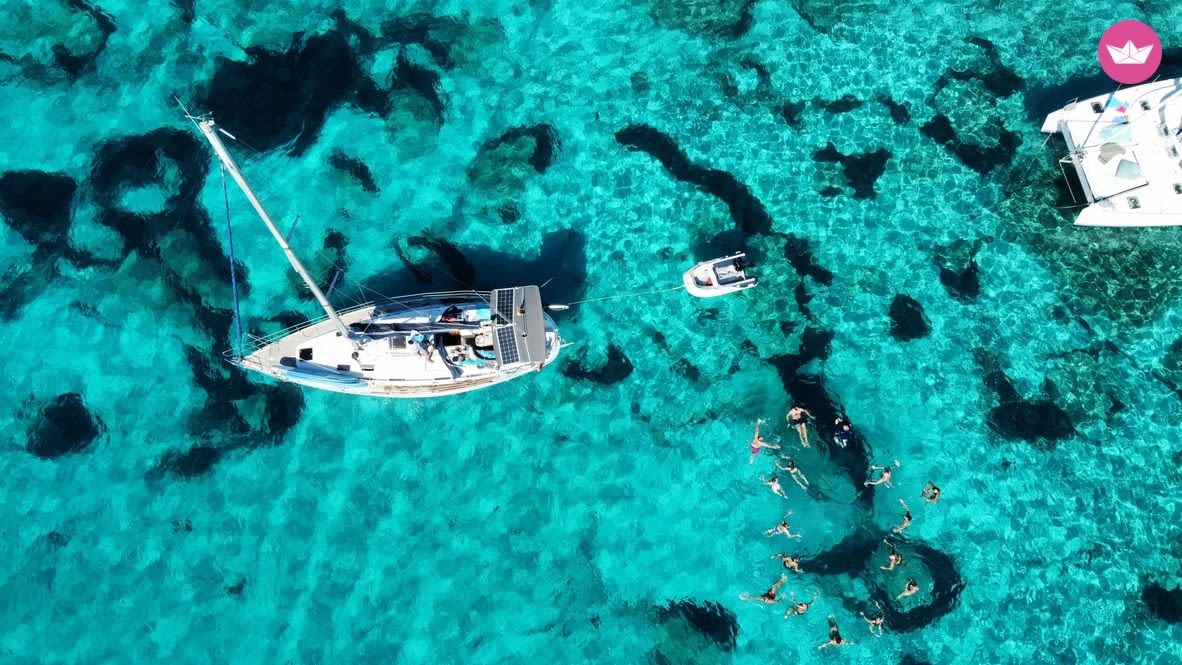 Cover of activity #18168