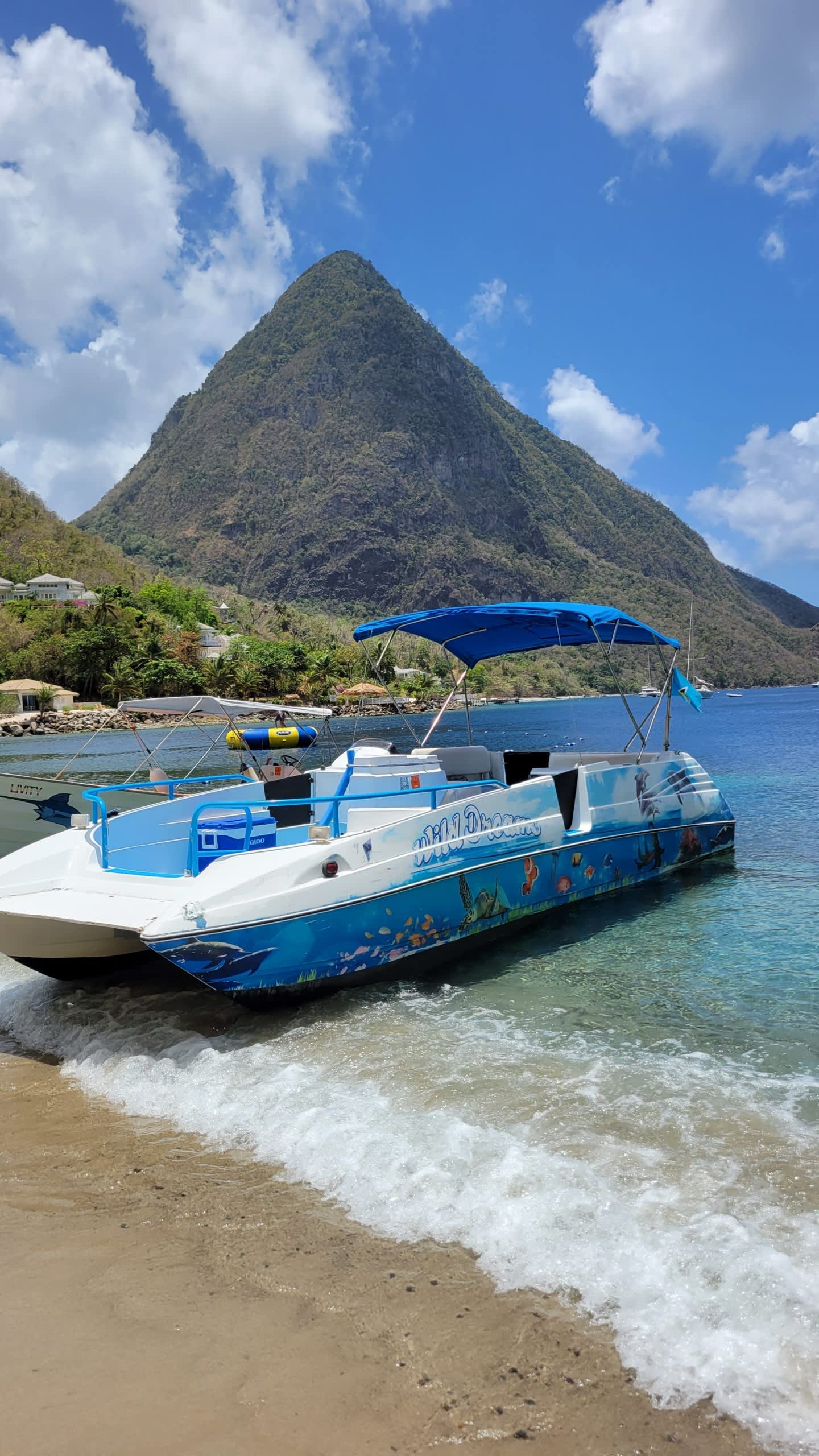 Cover of activity #29432