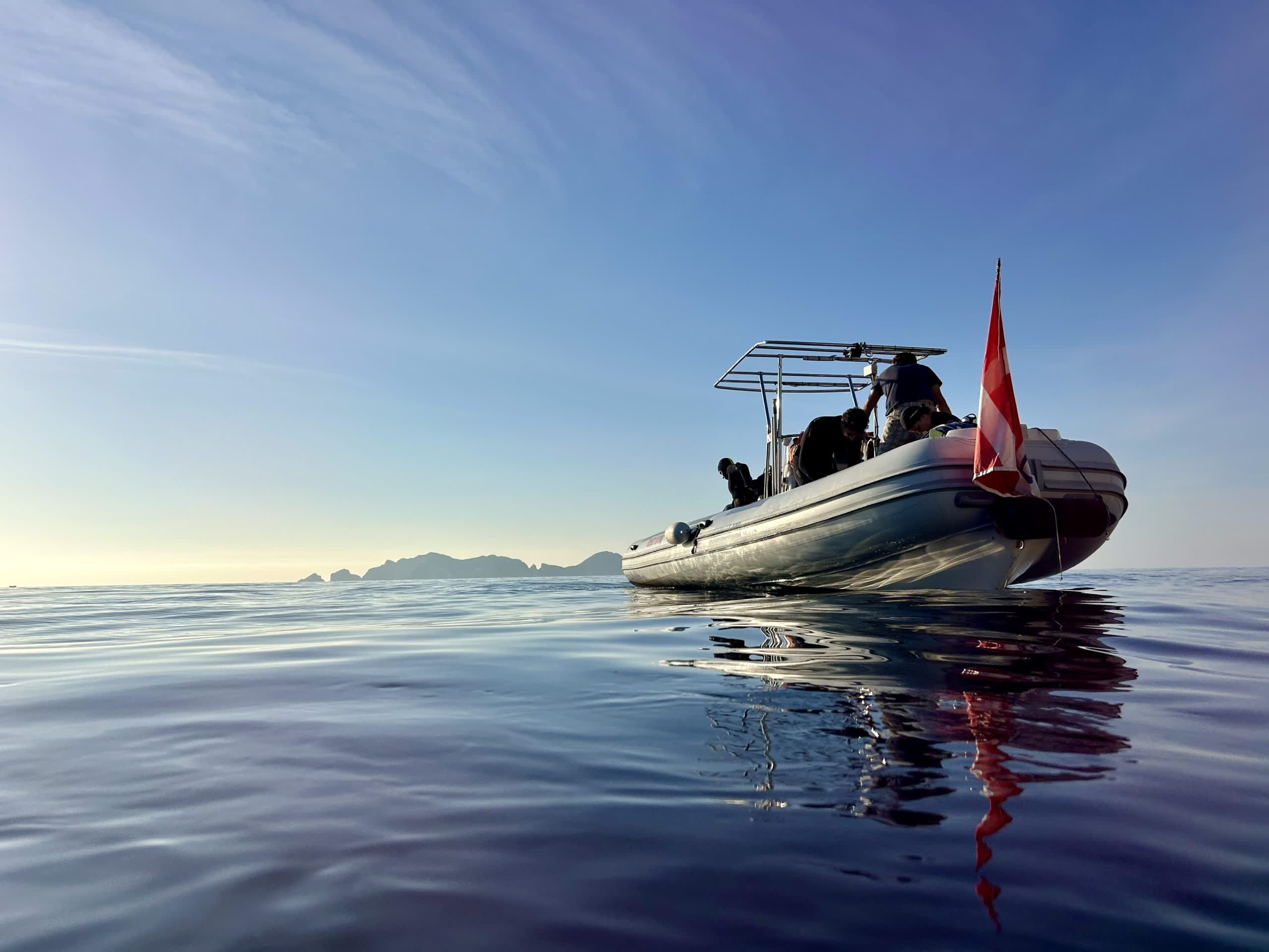 Cover of activity #24948