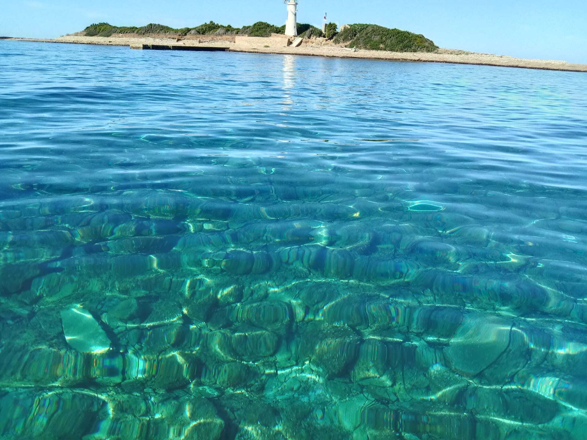 Cover of activity #29484