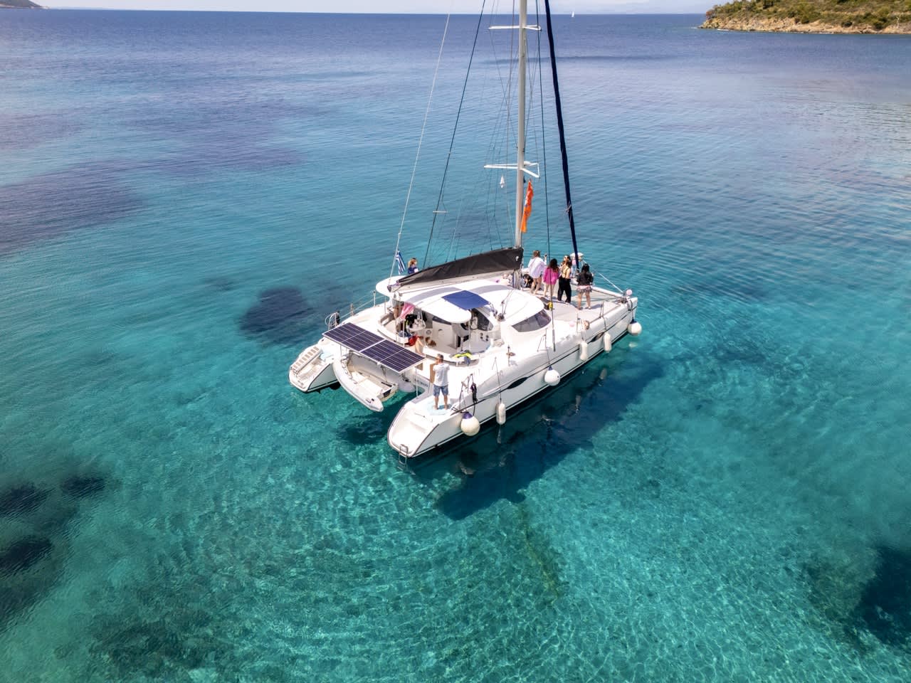 Cover of activity #7788