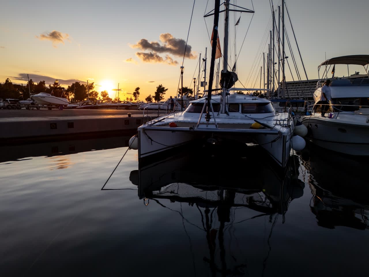 Cover of activity #20881