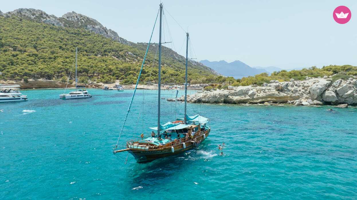 Cover of activity #7186