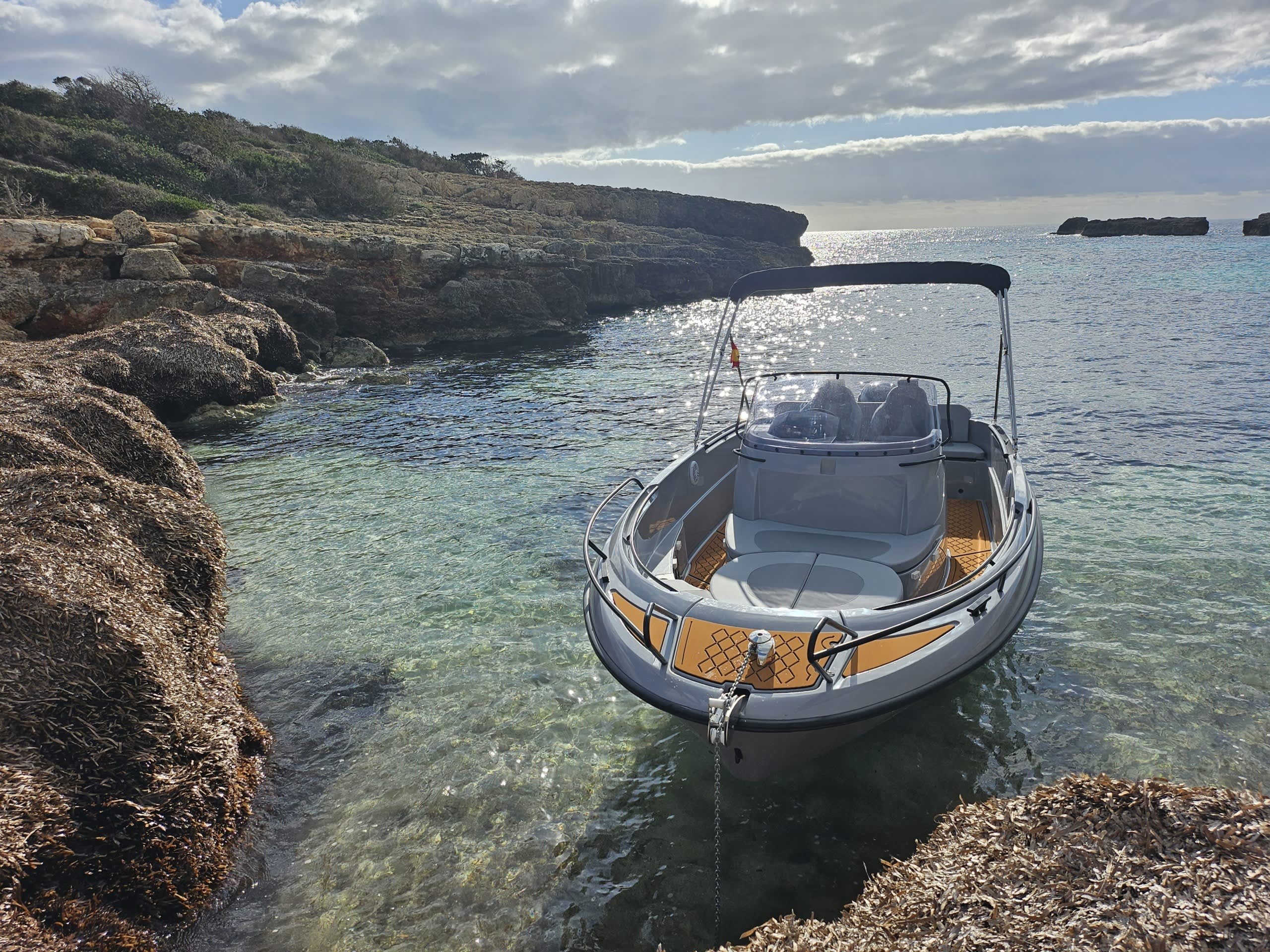 Cover of activity #18162