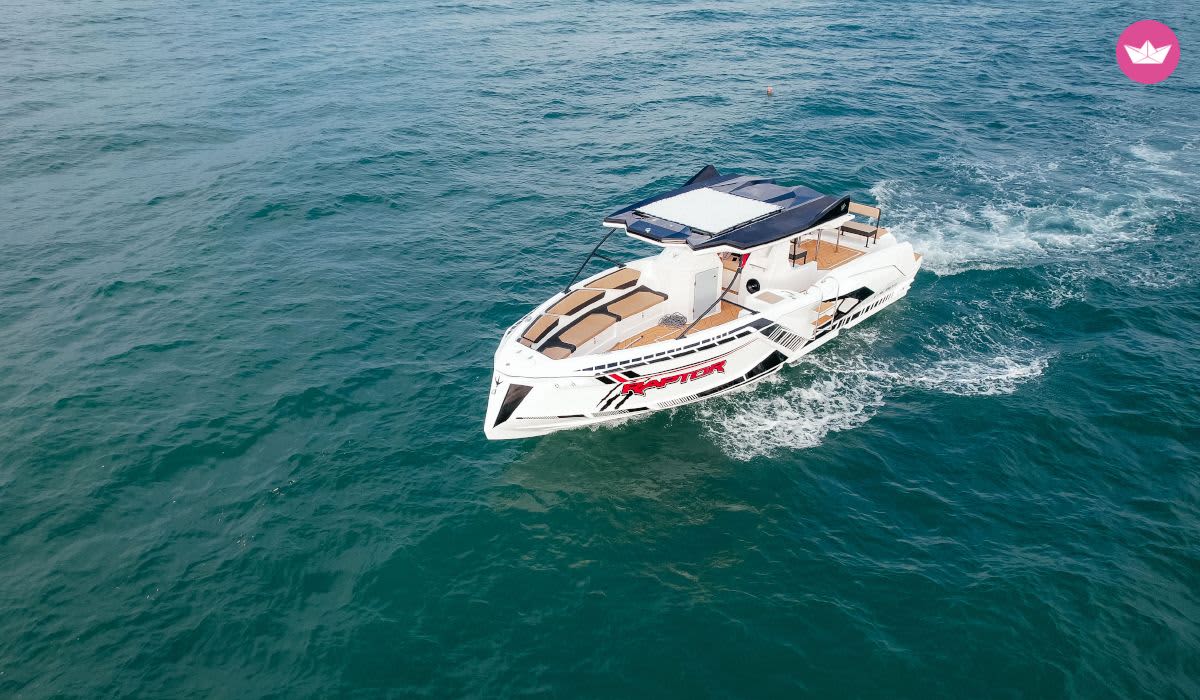 Cover of activity #6195