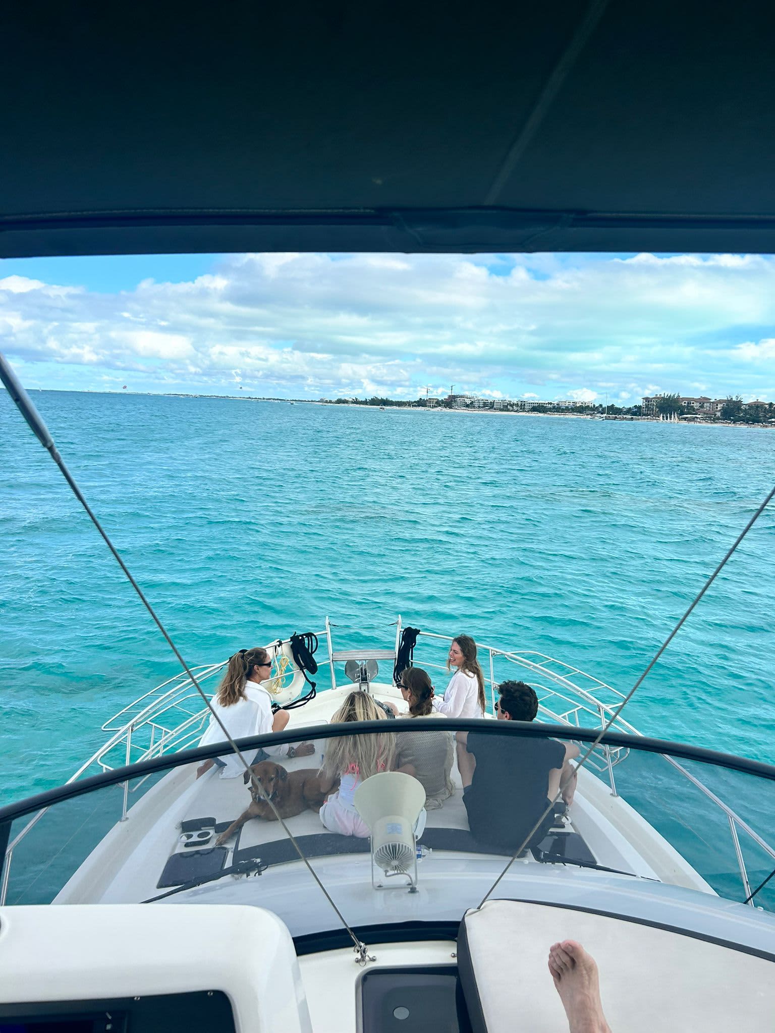 Cover of activity #2494