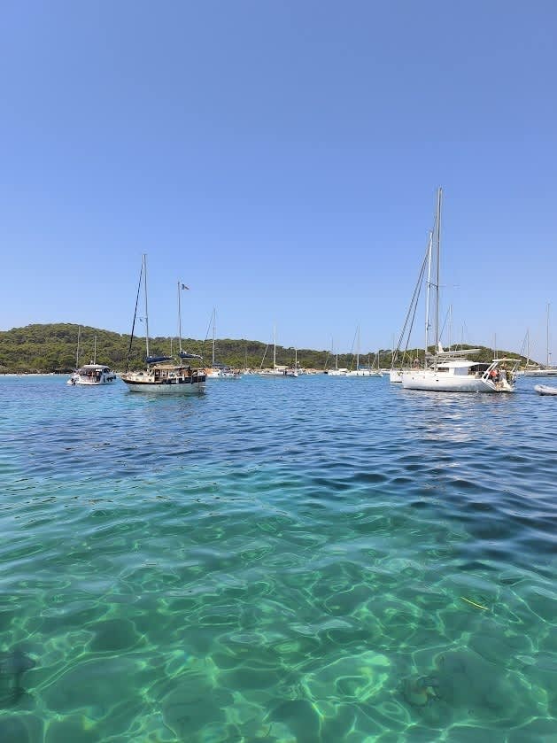 Cover of activity #29386