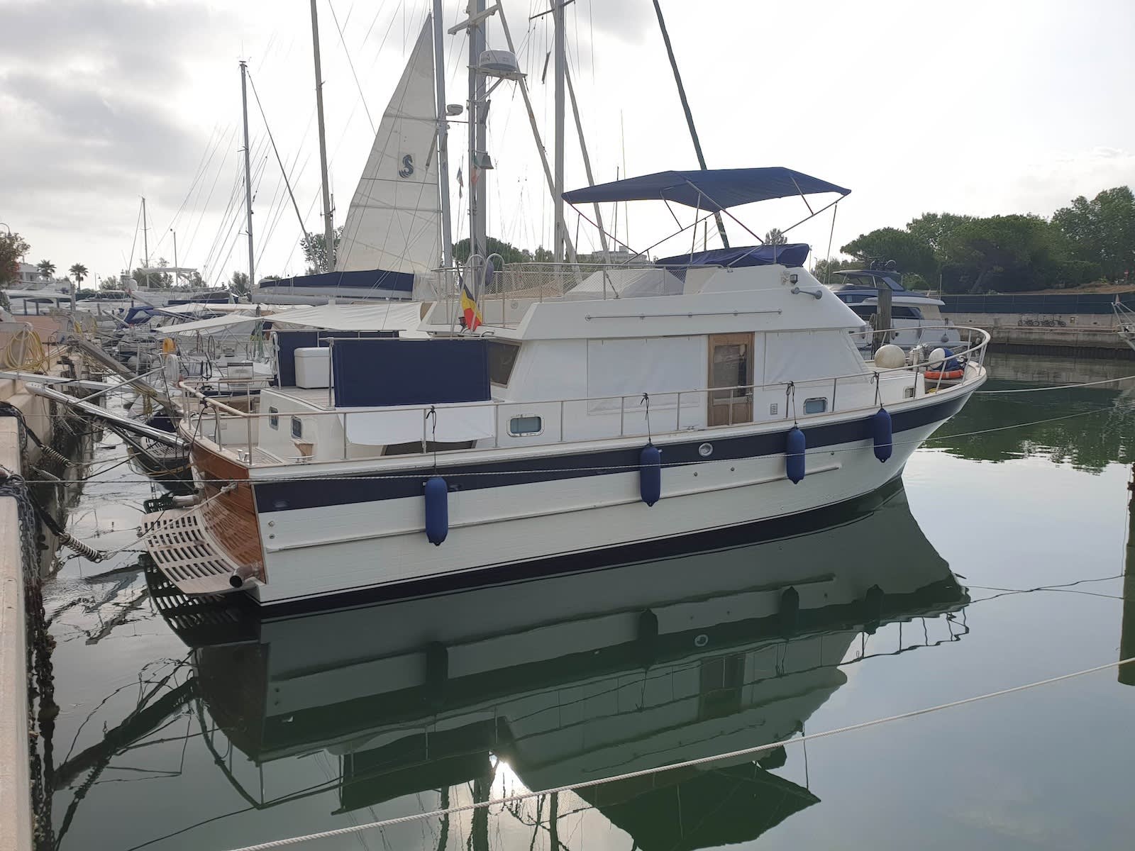 Cover of activity #21634