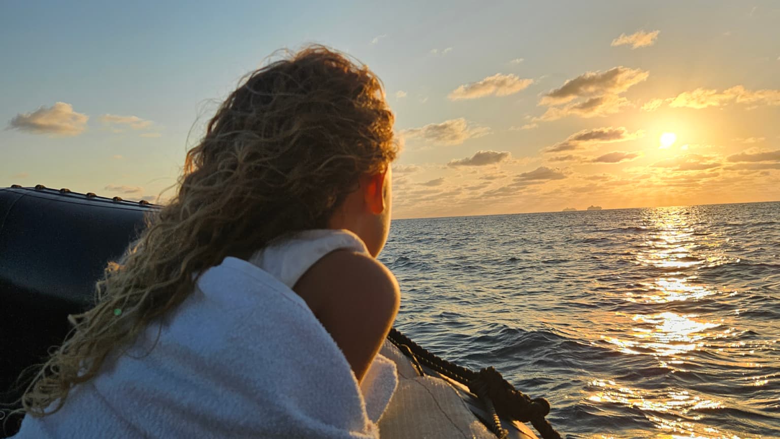 Cover of activity #11395