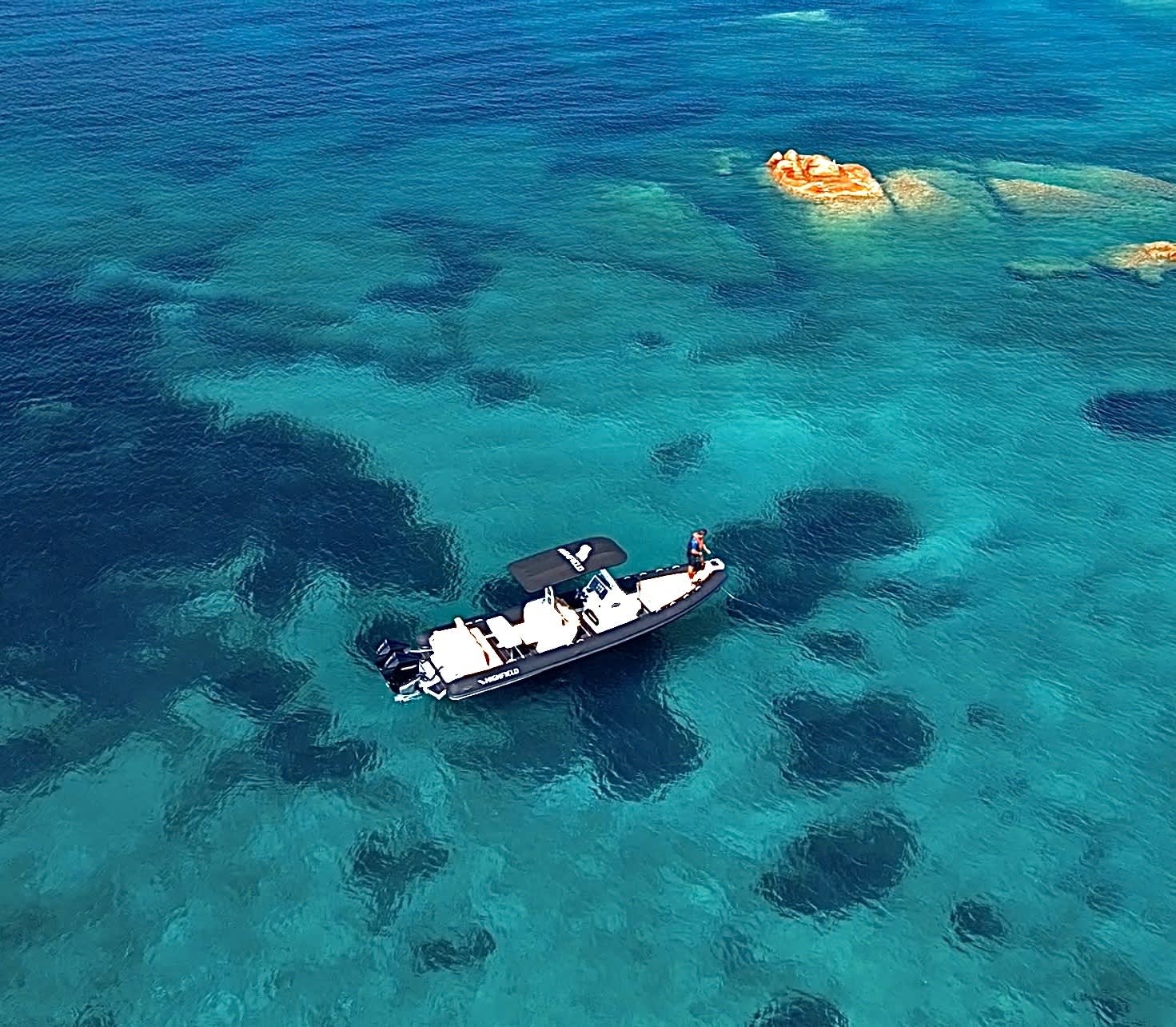 Cover of activity #28428