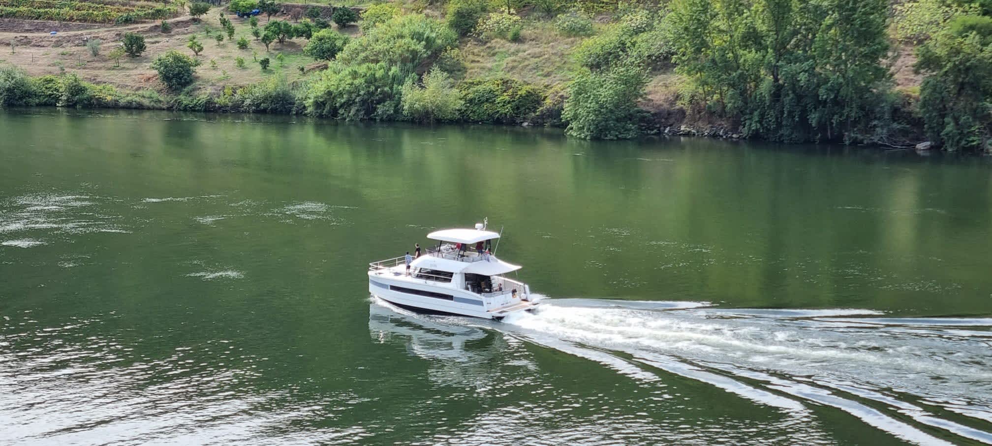 Cover of activity #2943