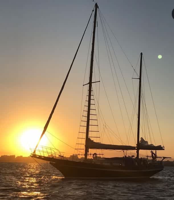 Cover of activity #7194