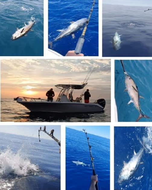 Cover of activity #28178