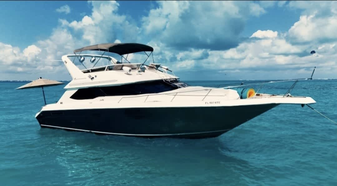 Cover of activity #26091