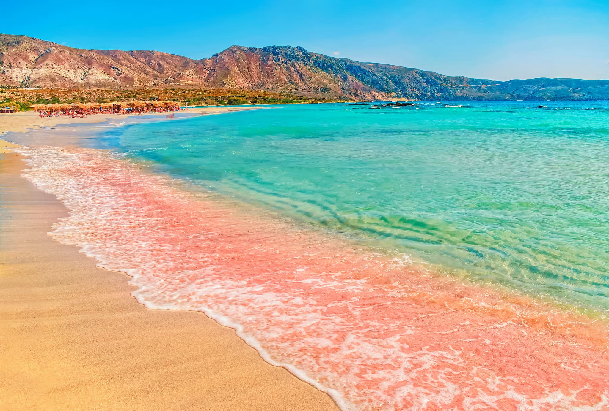 Cover of activity #11846