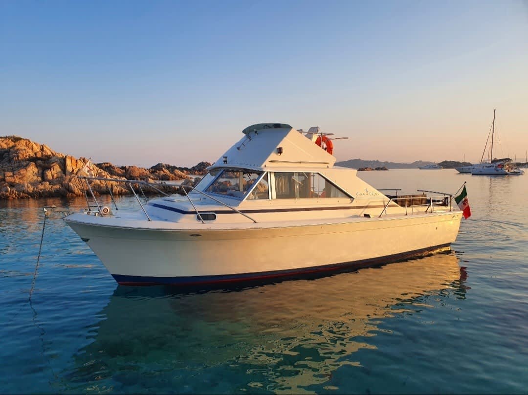 Cover of activity #29366