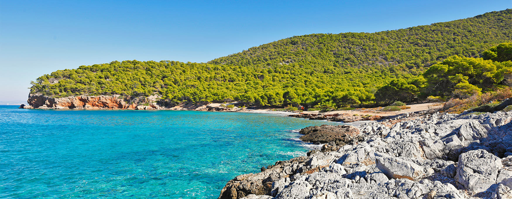 Cover of activity #10229