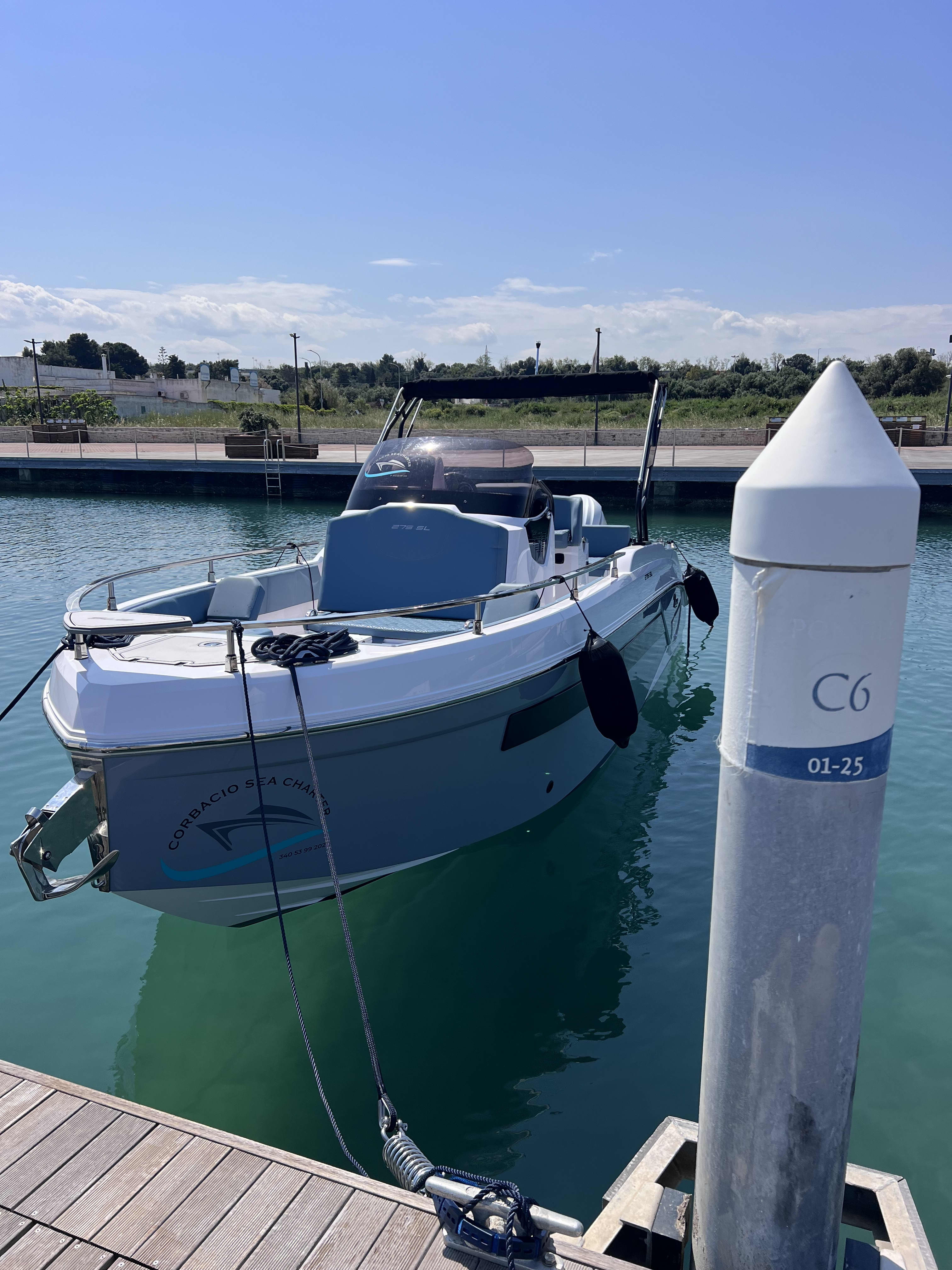 Cover of activity #8022