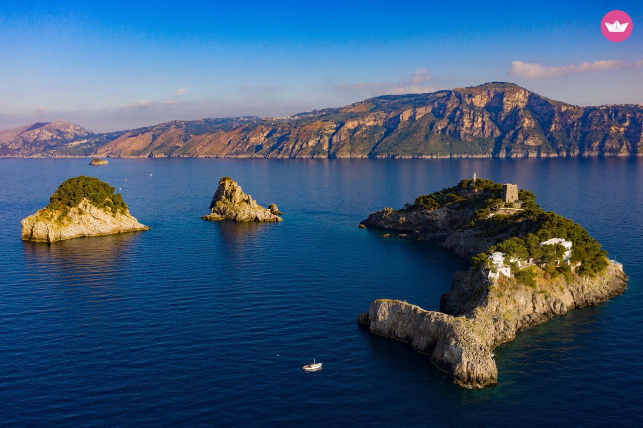 Cover of activity #4425