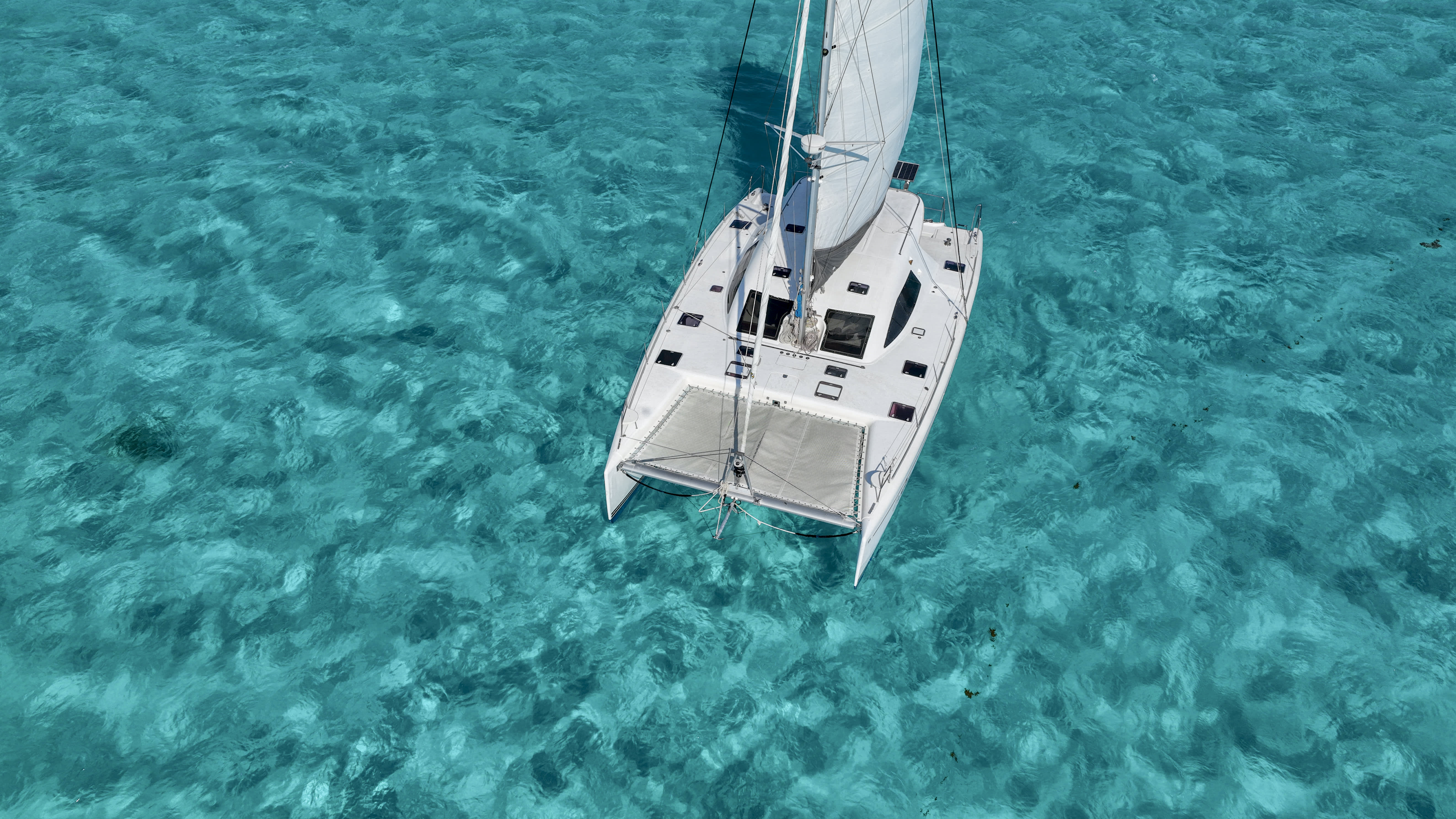 Cover of activity #12929