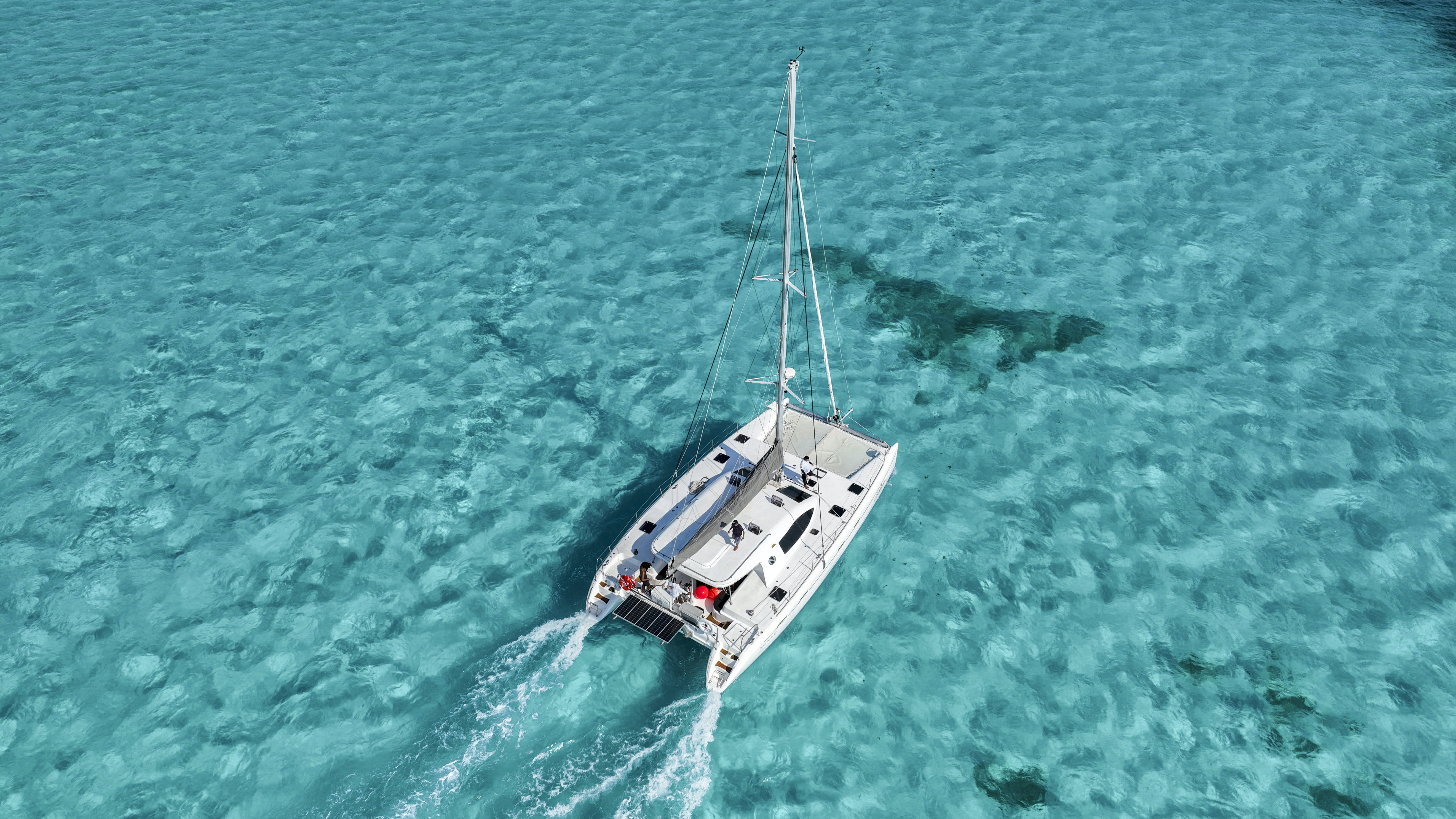 Cover of activity #12931