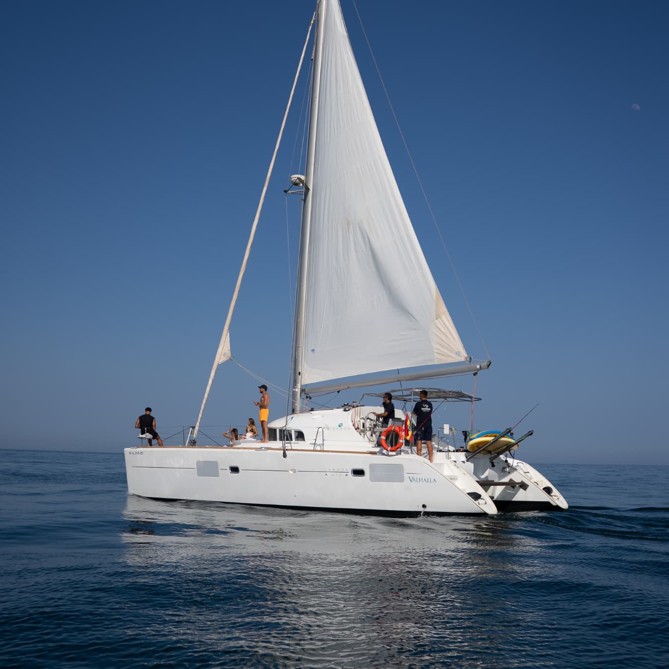 Cover of activity #7378