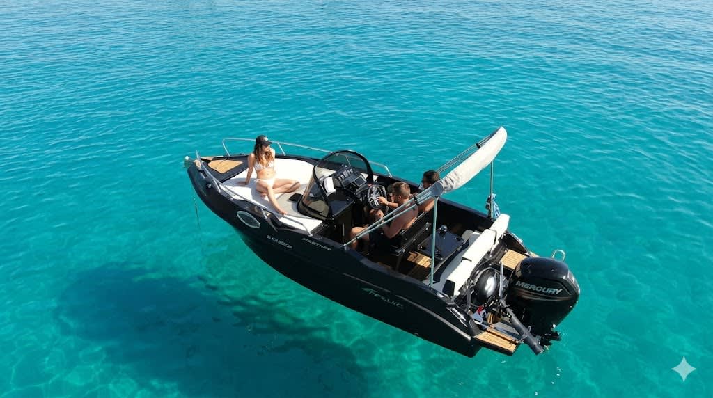 Cover of activity #9385