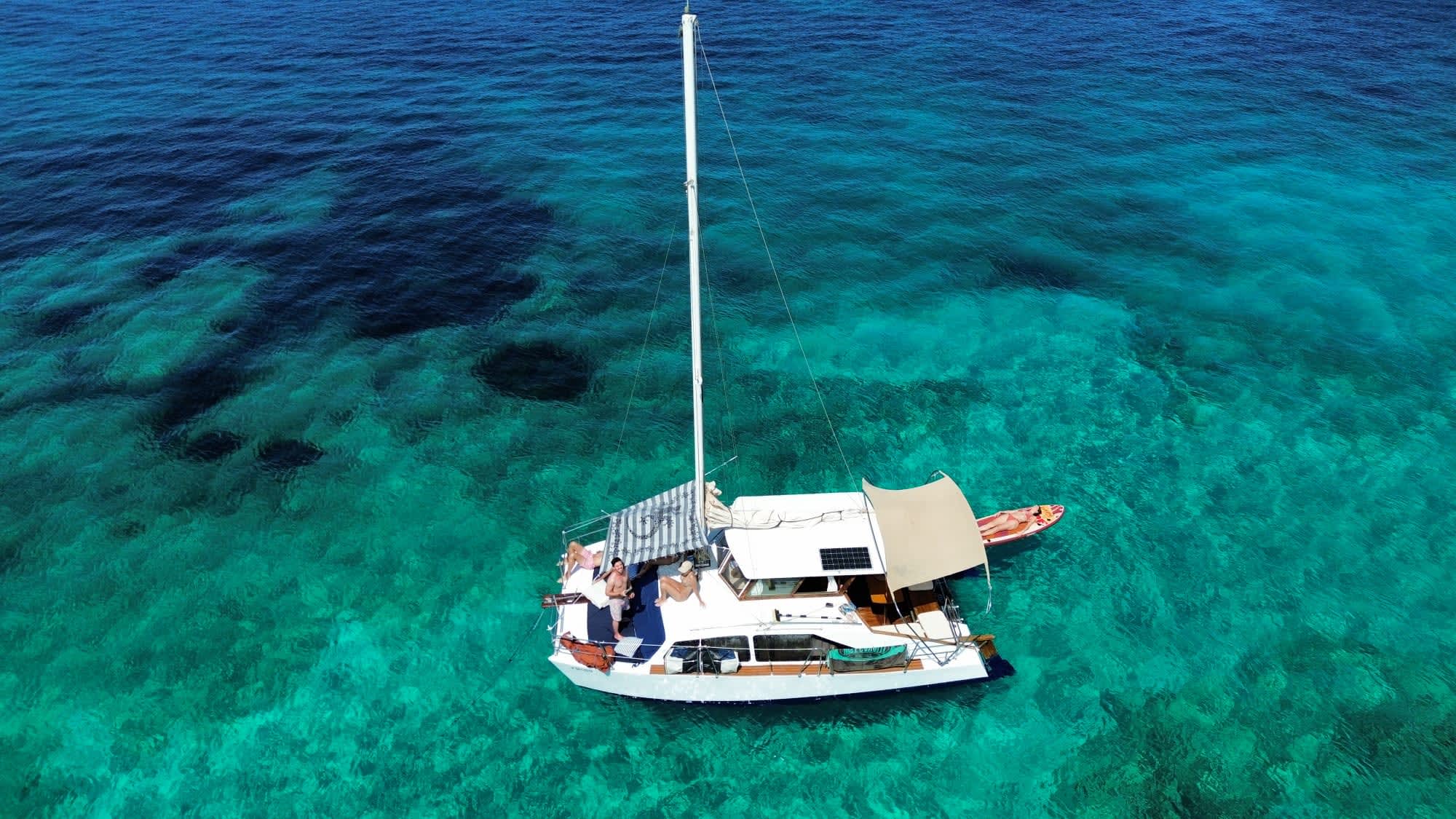 Cover of activity #12256