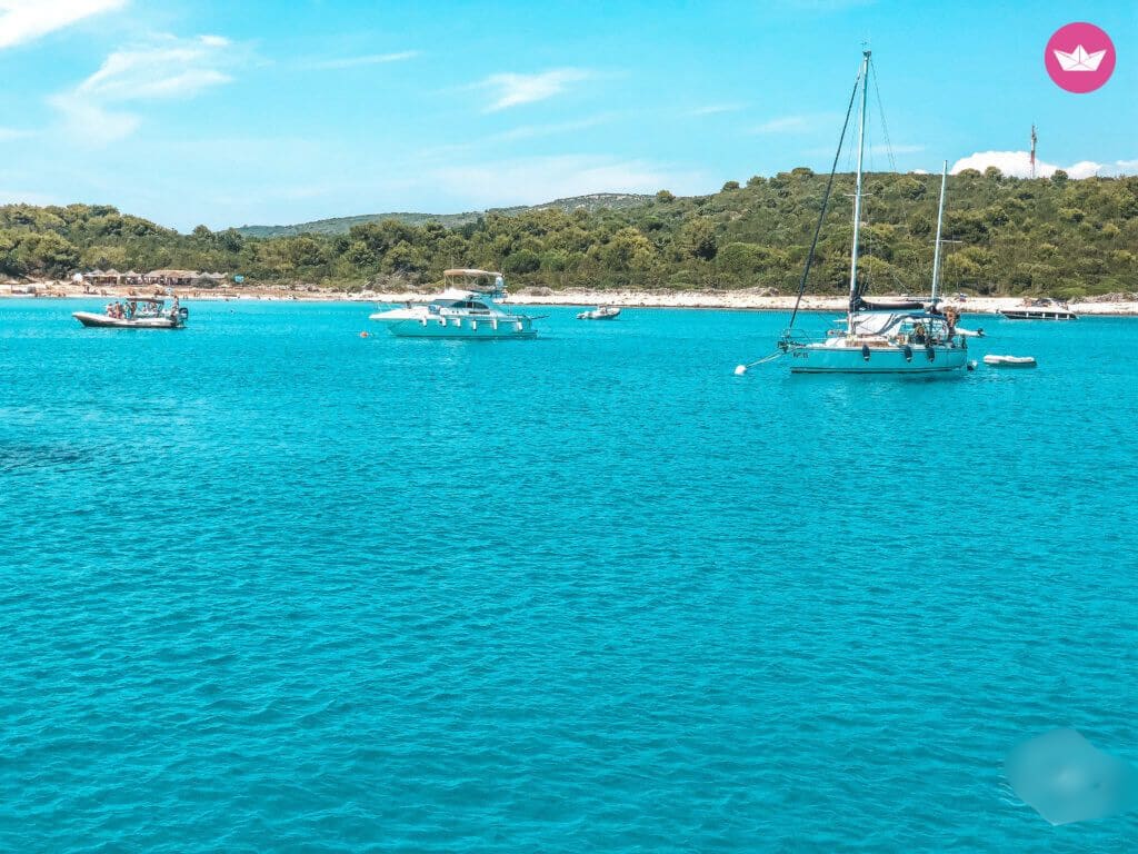 Cover of activity #13091