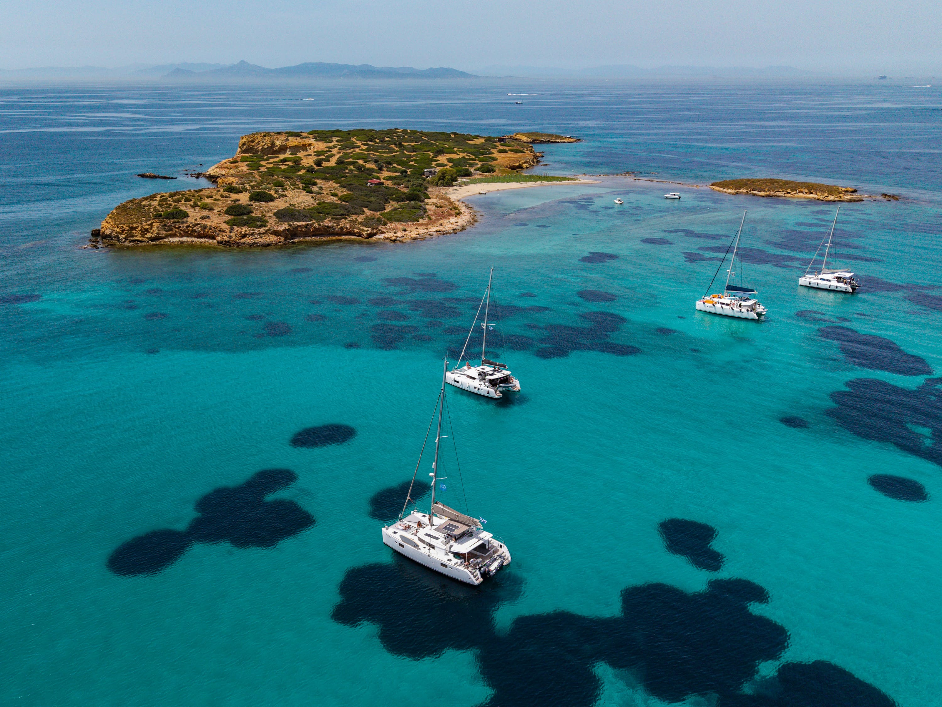 Cover of activity #29782