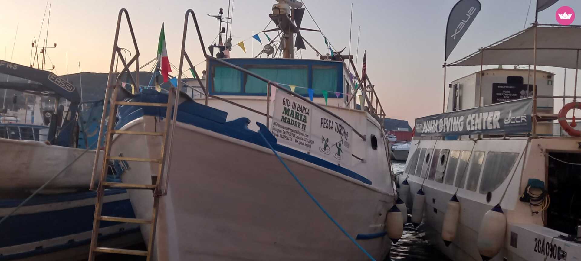 Cover of activity #8638