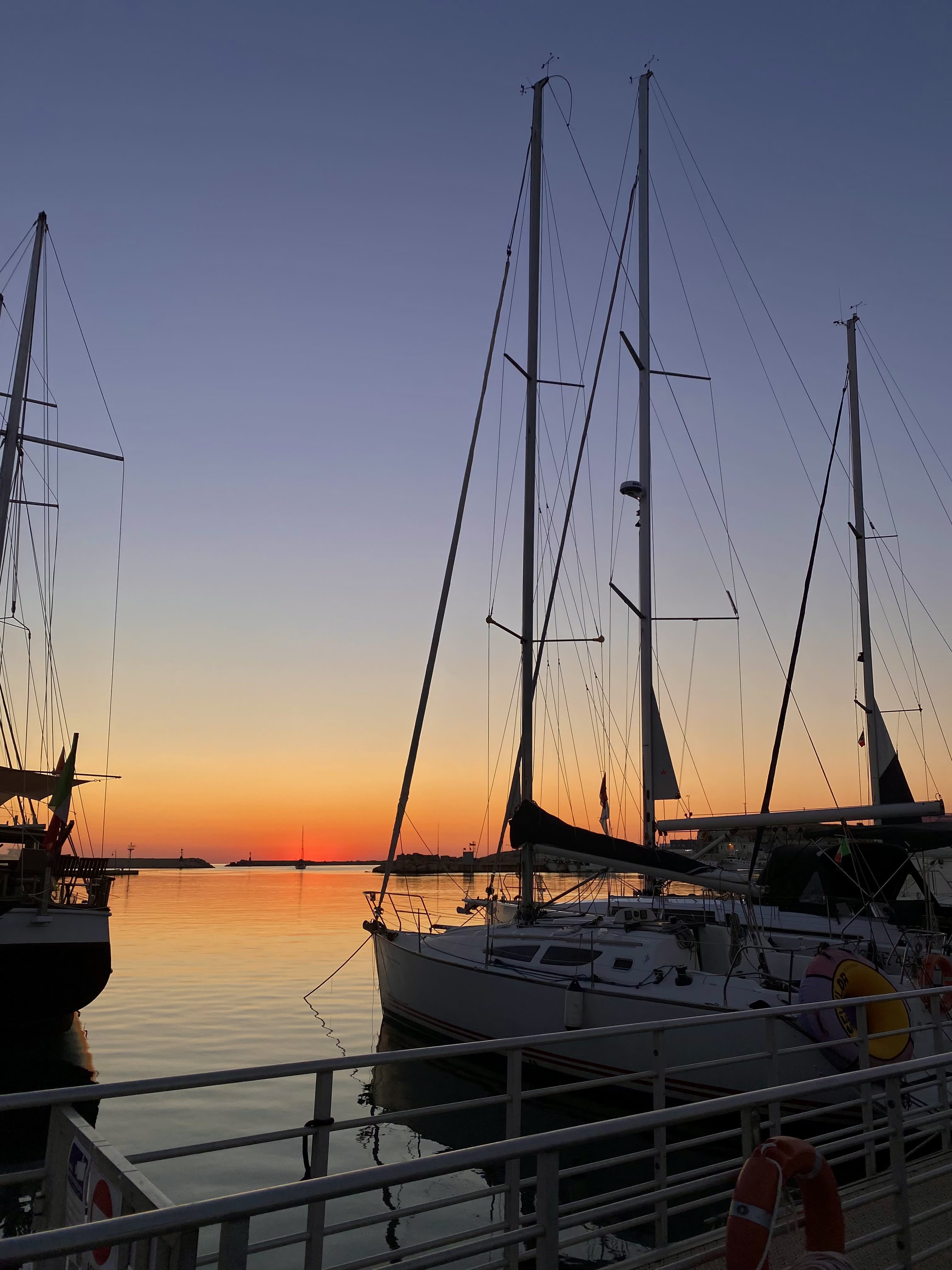 Cover of activity #9091