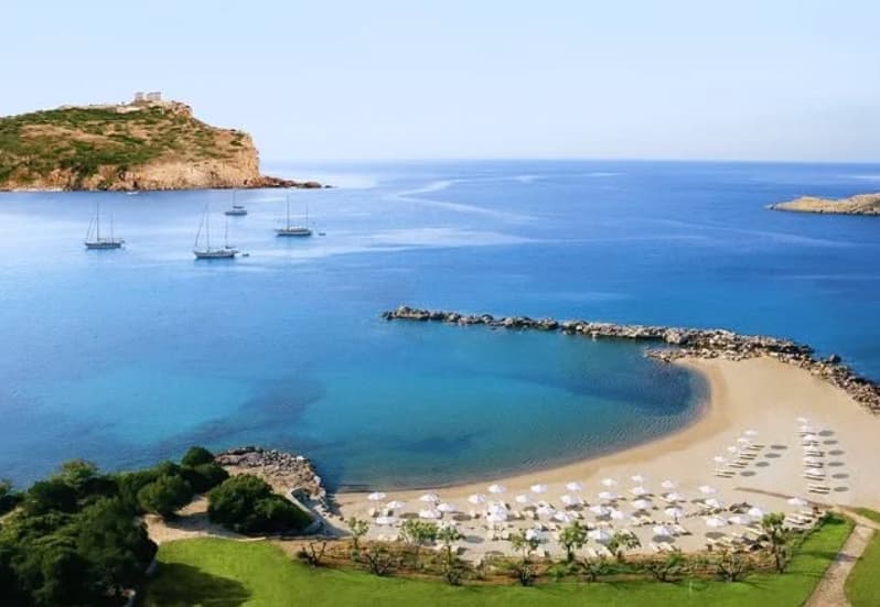 Cover of activity #11729